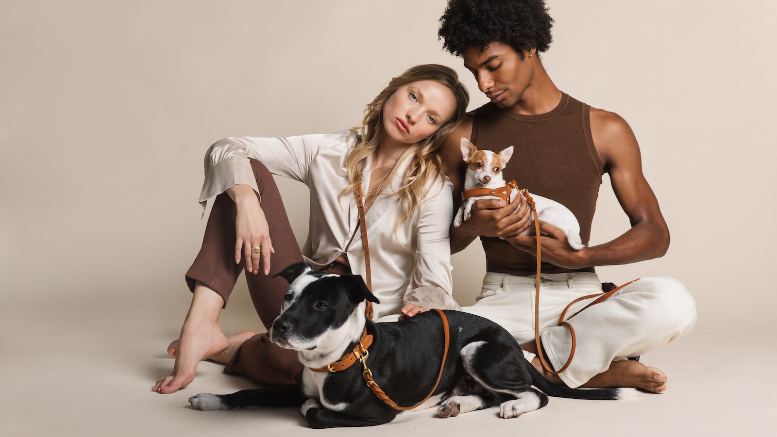 Molly & Stitch fashionable dog accessories brings handcrafted, haute fashion to your pup – Gadget Flow