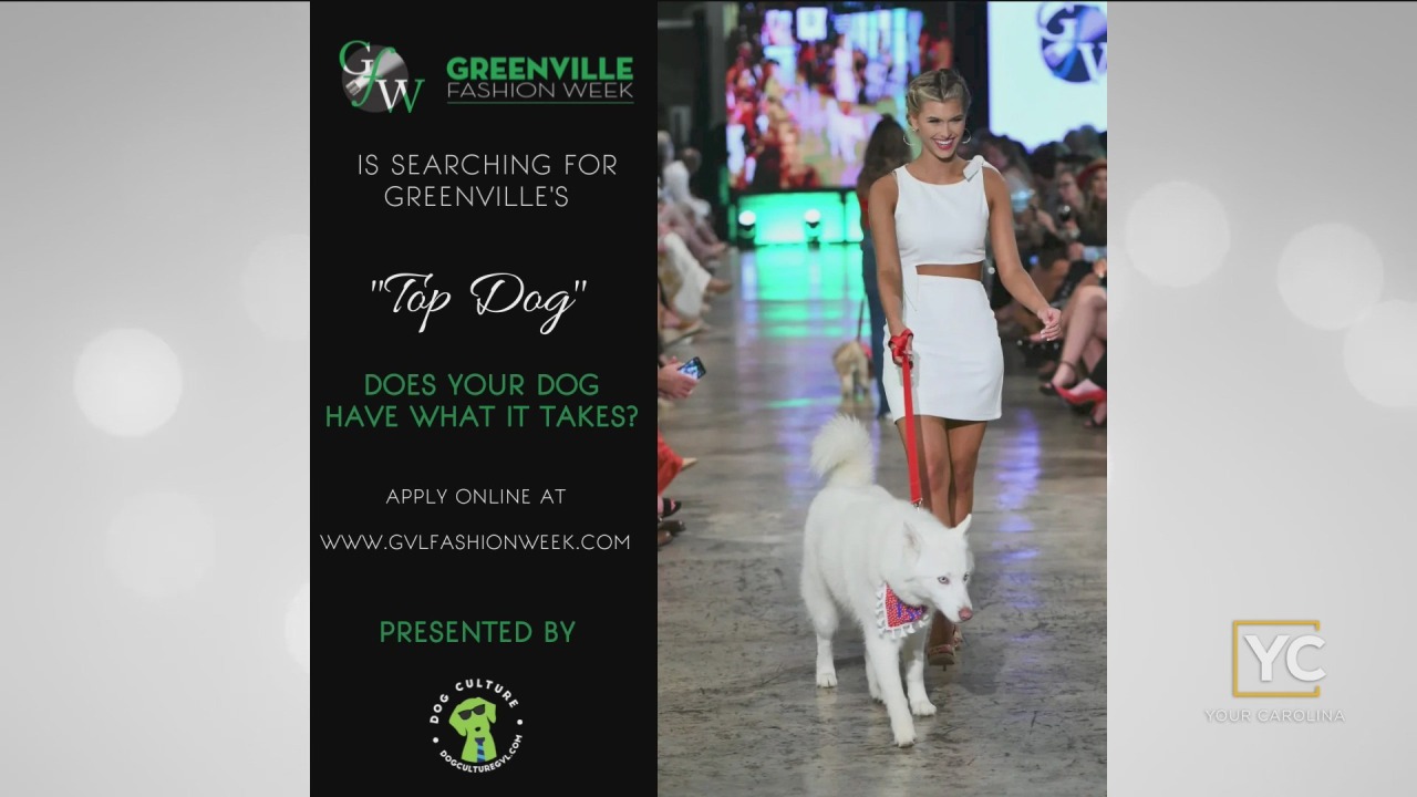 Greenville Fashion Week – Top Dog Competition – WSPA 7News