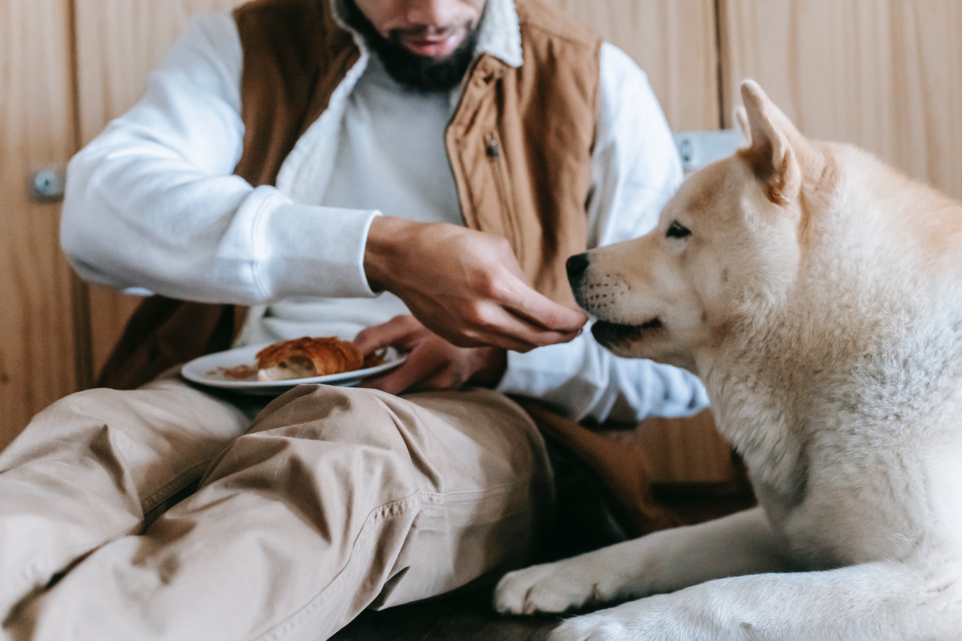 Human guinea pig: 4 in 10 people admit to taste-testing their pet's food – Study Finds