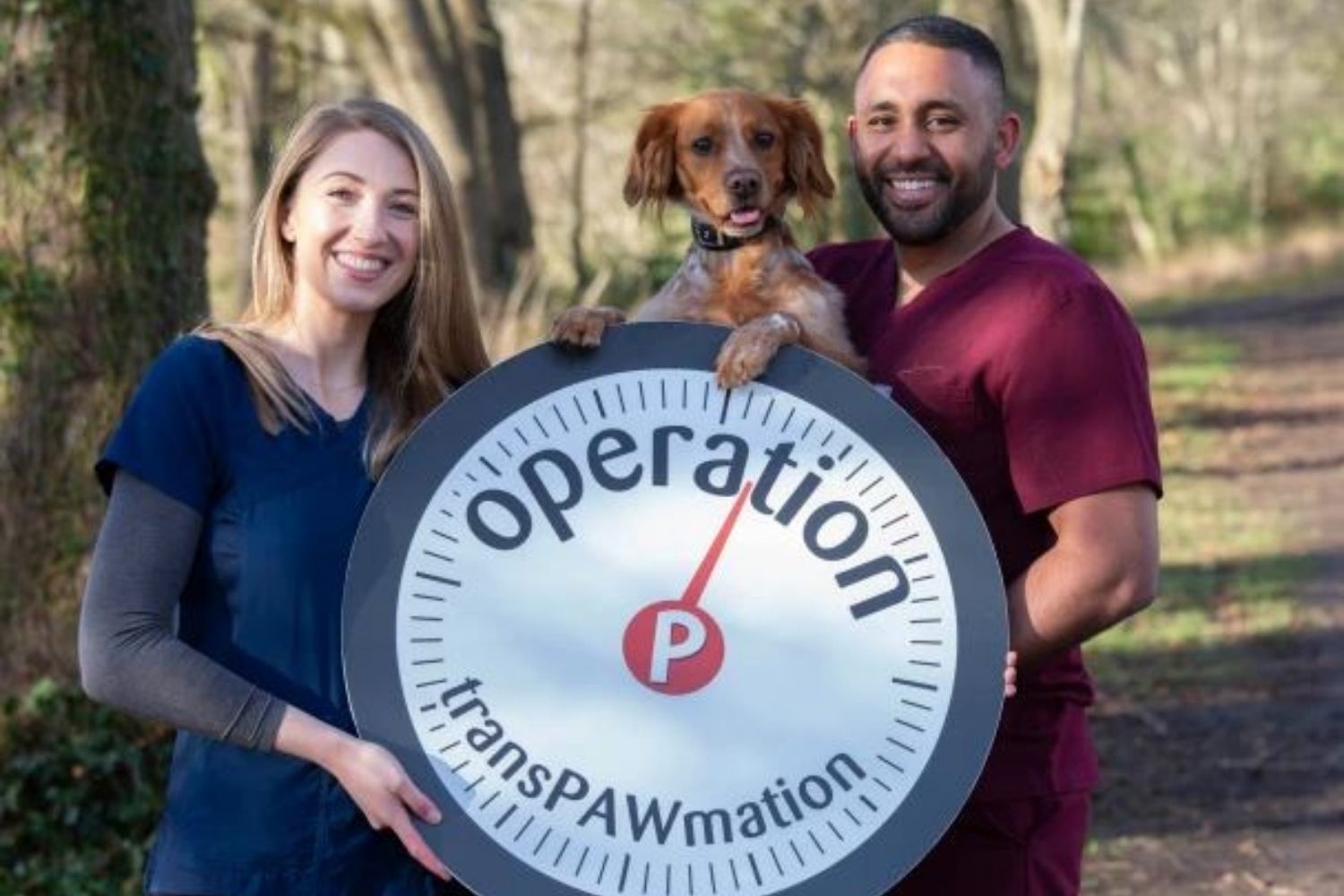 Irish pet experts warn 50 per cent of our cats and dogs are obese – but Operation TransPAWmation here to h… – The Irish Sun