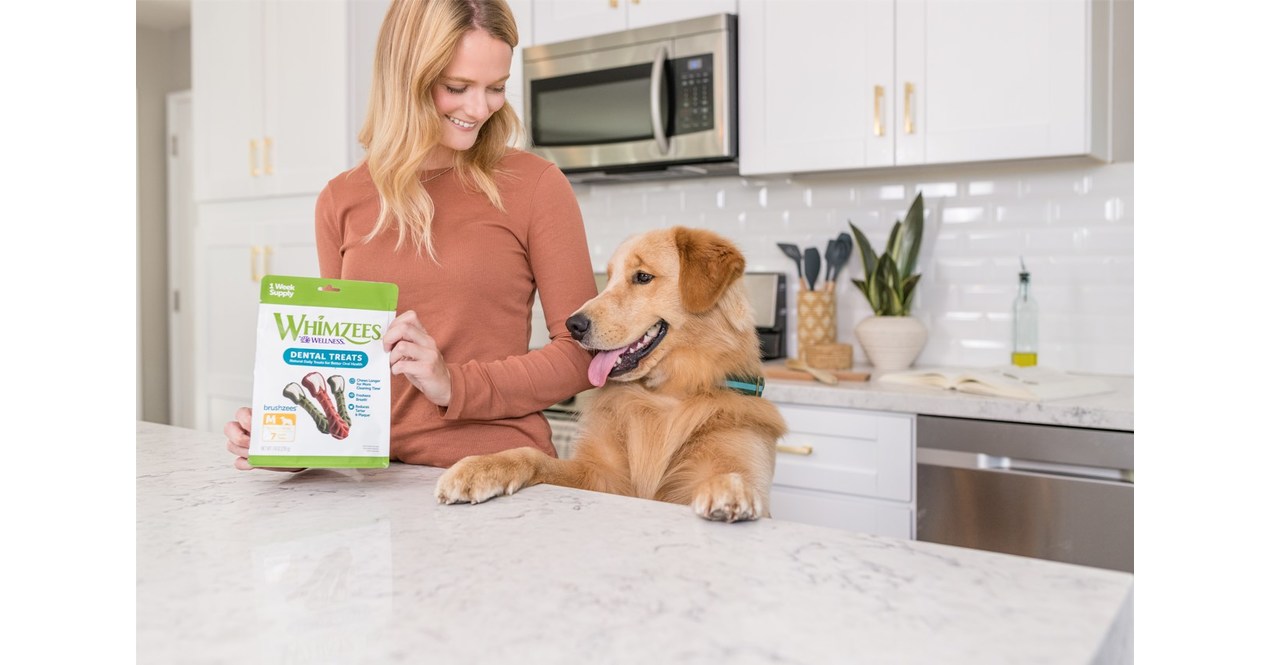 A Healthy Dog Starts with Healthy Teeth: Veterinarian with WHIMZEES® by Wellness® Shares Tips for Pet Dental Health Month – PRNewswire
