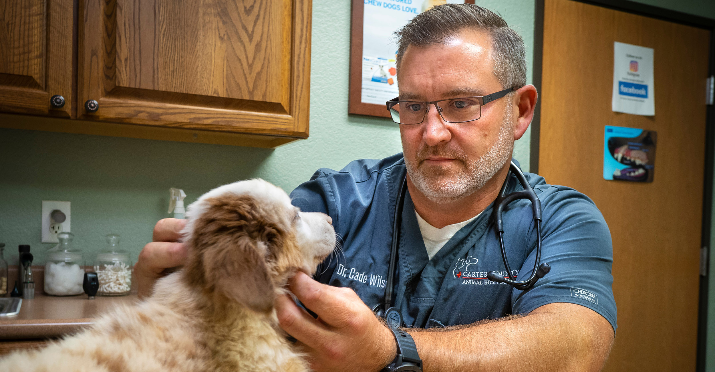 Veterinarians, pet owners struggle with payment plans – Oklahoma State University