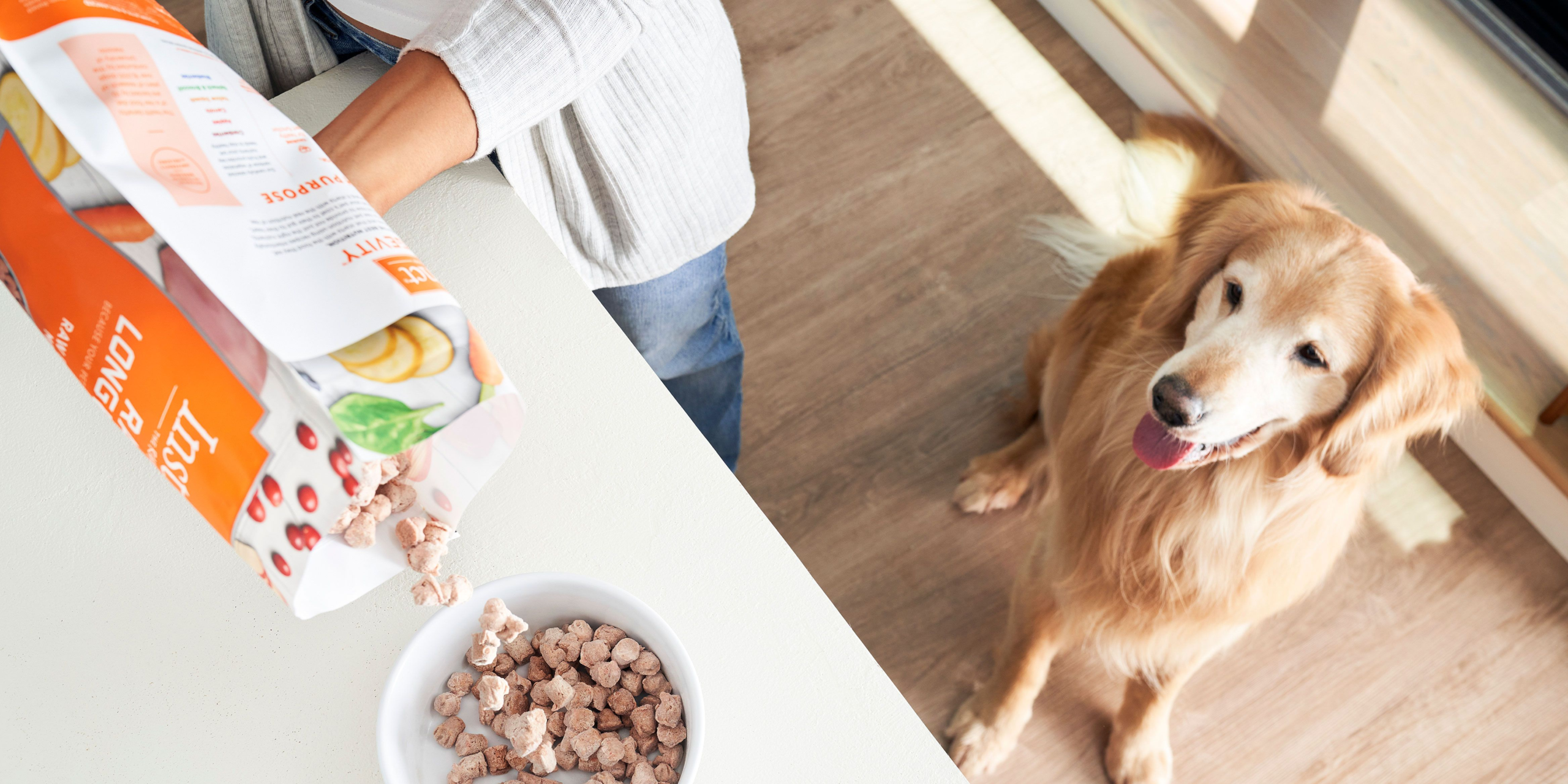 Everything You Need to Know About Raw Pet Food (and What to Ignore) – Gear Patrol