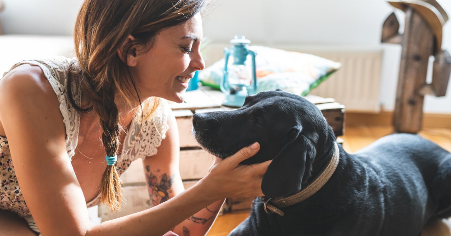 How Pets Boost Our Mental Health – Psychology Today