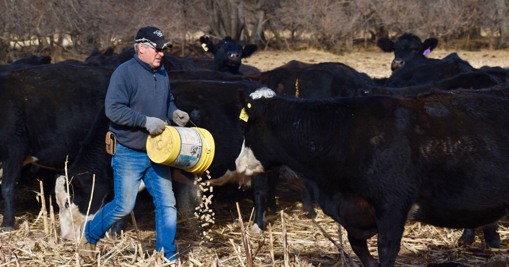 Focus on calving first, then prep for spring – High Plains Journal