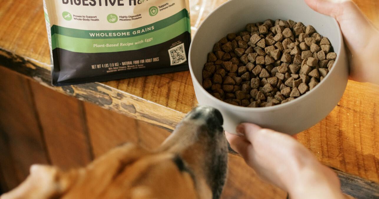 Wellness Pet Co. Introduces Plant-Based Dog Food – PetProductNews.com