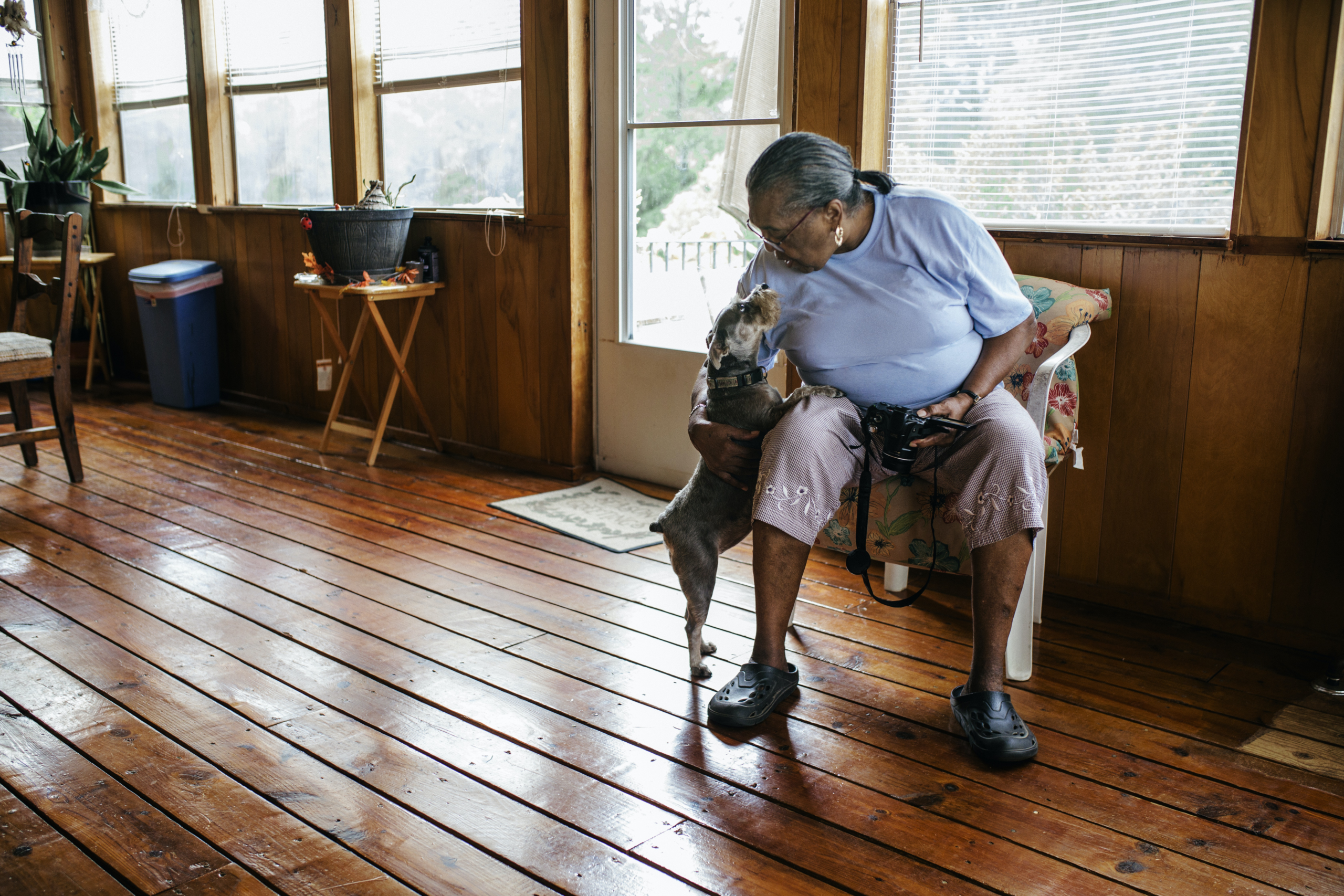 New research suggests cat and dog 'moms' and 'dads' really are parenting their pets – here's the evolutionary explanation why – The Conversation