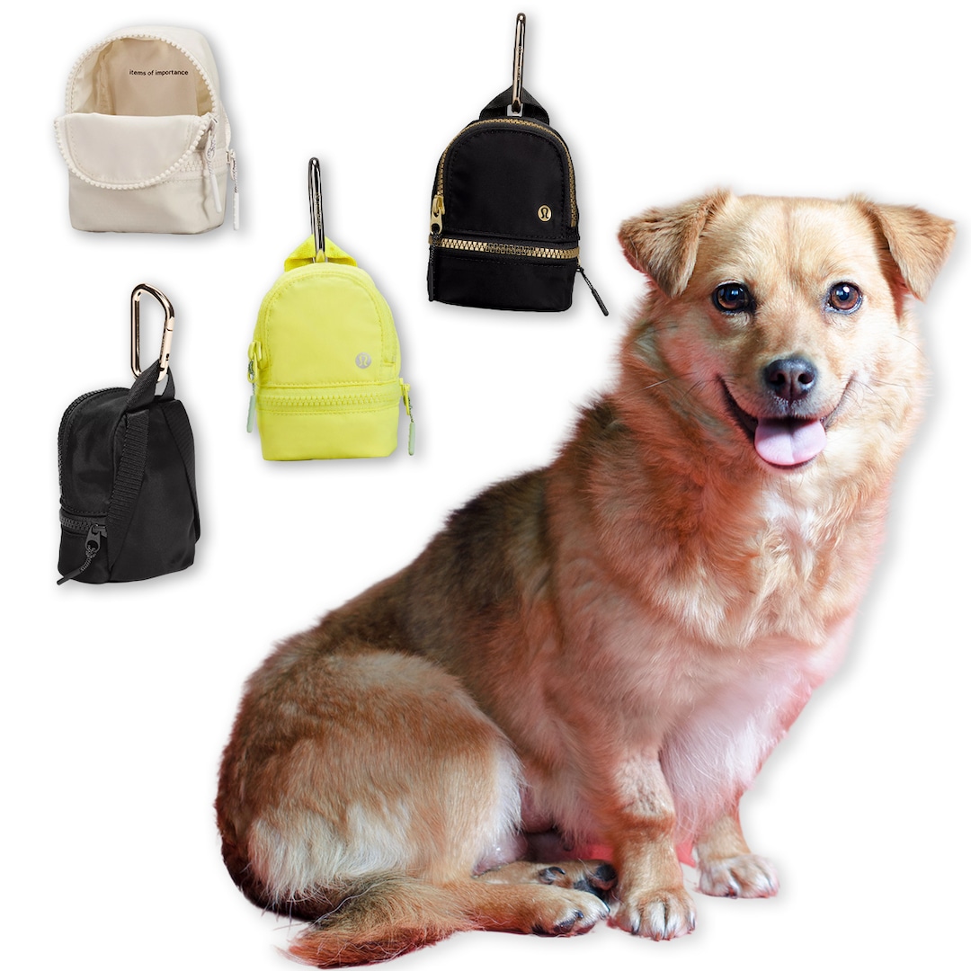 Lululemon Nano Backpacks Are What All the Cool Dogs on TikTok Are Wearing – E! NEWS