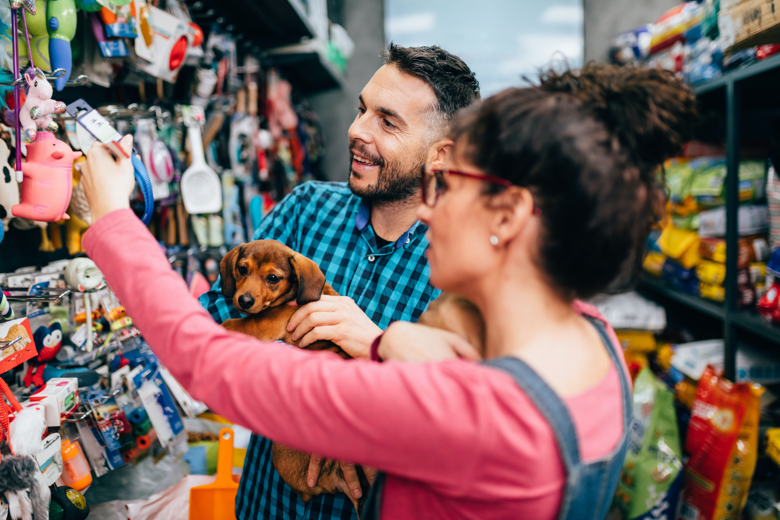 Would you bring your dog to a shop? Why retailers should be more pet-friendly – The Conversation