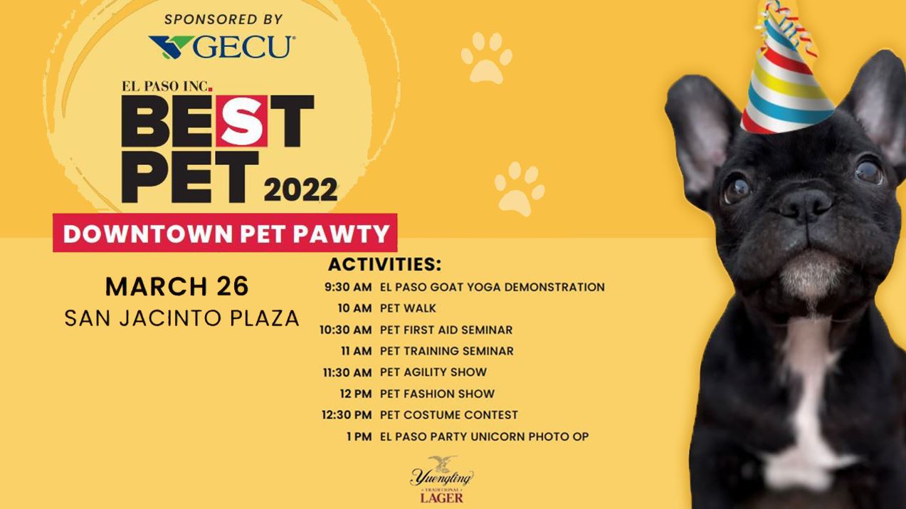 Best Pet 'Paw-ty' to take over downtown El Paso – KVIA