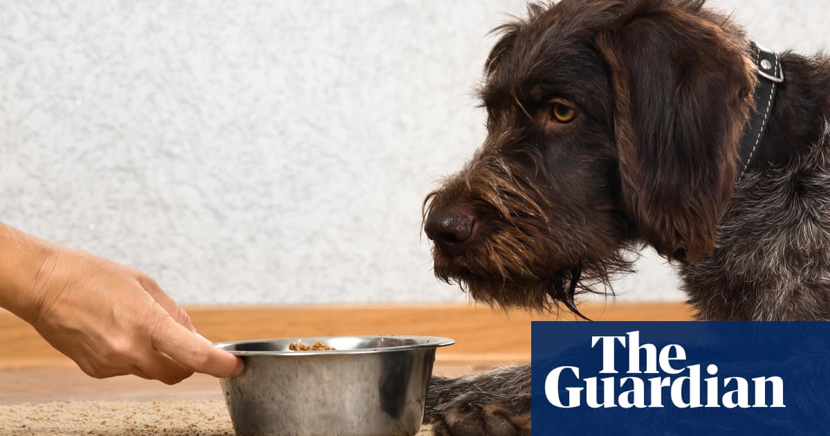 Vegan pet food as healthy for cats and dogs as meat, says veterinary professor – The Guardian