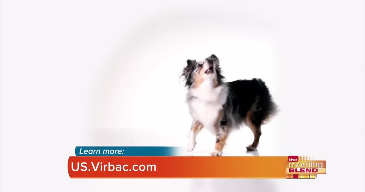 Virbac: How to support your pet's health and development – KGUN 9 Tucson News