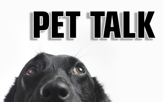 Pet Talk – Week of March 30, 2022 – The County