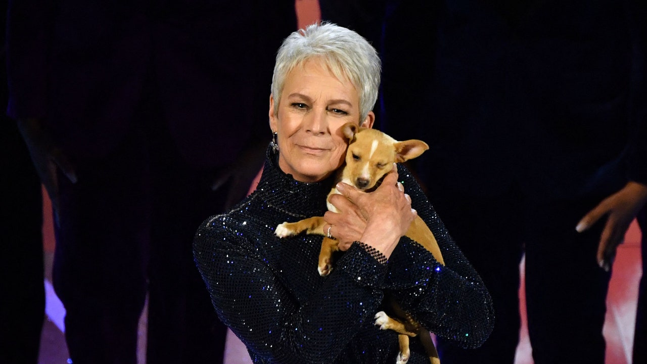 John Travolta Adopts the Dog Jamie Lee Curtis Brought Out During Betty White's 2022 Oscars In Memoriam – Vanity Fair