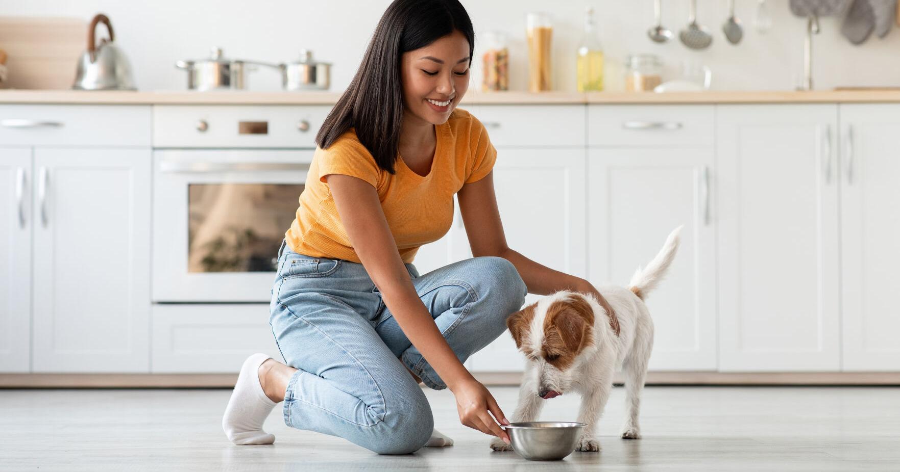 What Premium Dog Food Customers Are Most Concerned About – PetProductNews.com