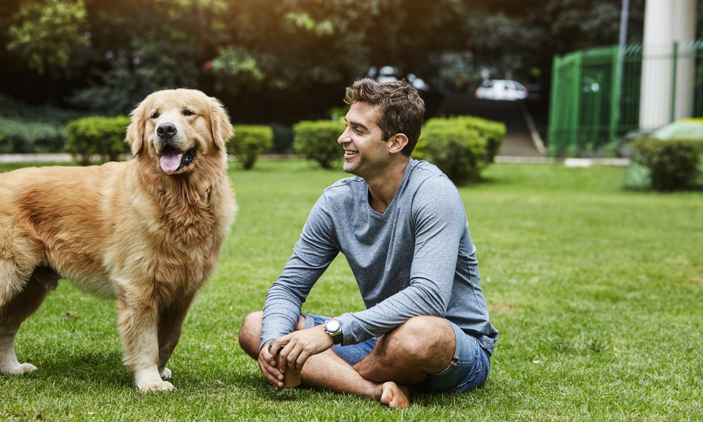 What Does Pet Insurance Cover? – 2022 Guide – NerdWallet