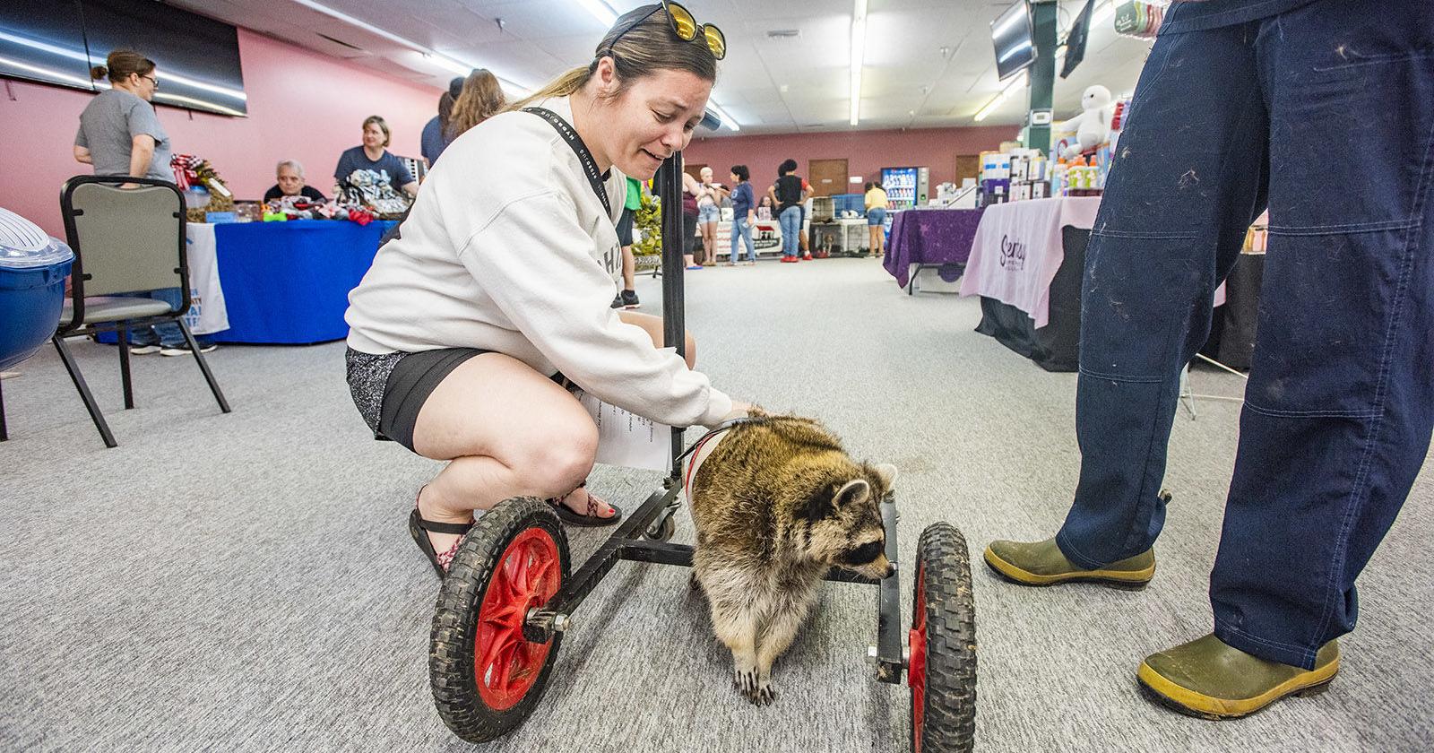 Hundreds socialize, bring furry friends to Pet Expo – Elizabethtown News Enterprise