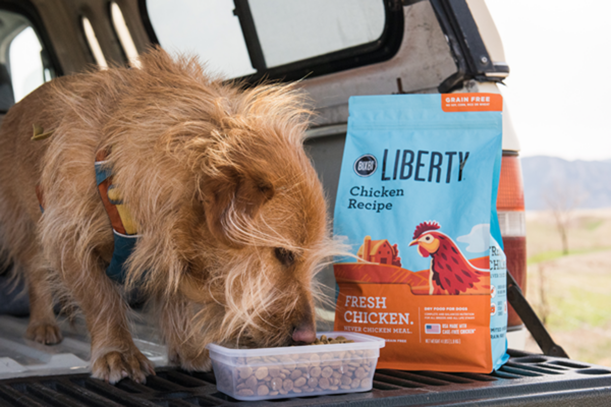 Bixbi Grain-Free Dog Food For Dog Digestion – Chron