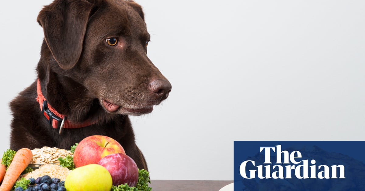 ‘People say they want me arrested’: the owners putting their pets on vegan diets – The Guardian