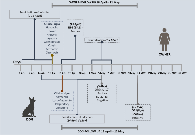 Human-to-dog transmission of SARS-CoV-2, Colombia | Scientific Reports – Nature.com