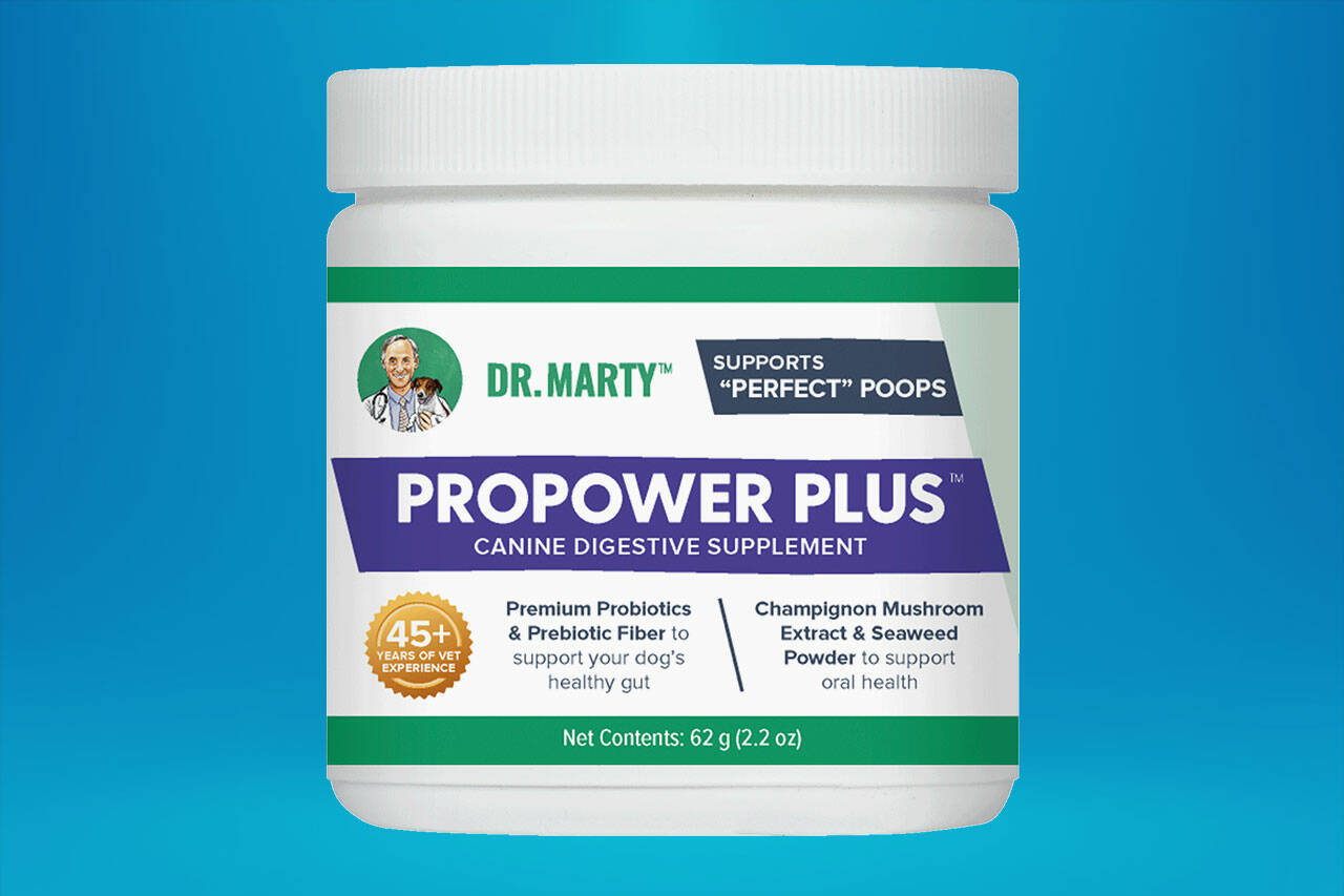 Dr. Marty ProPower Plus Reviews: Dog-Approved Digestive Aid? – Islands' Sounder