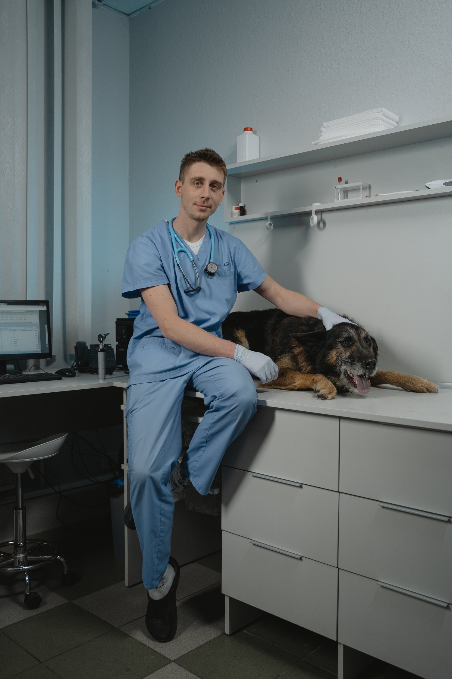 Dog owners' concerns and experience accessing veterinary care – Vet Candy