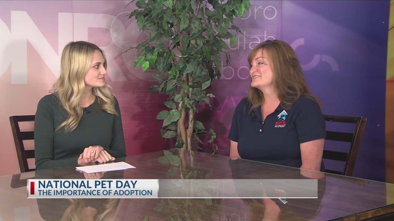 NBC 10 News Today: National Pet Day, the importance of adoption – KTVE – myarklamiss.com