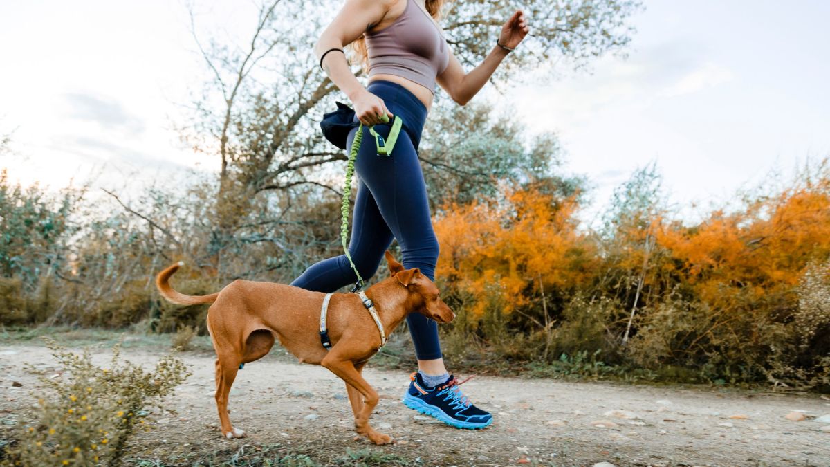 How to run with your dog — here's what you need to know – Tom's Guide