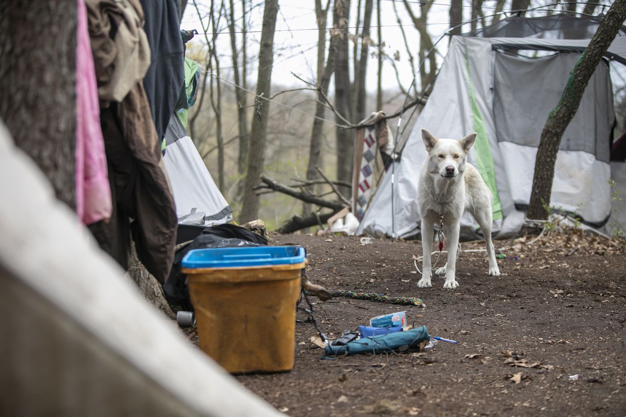 Kalamazoo warns people living in homeless encampment in the woods to leave – MLive.com