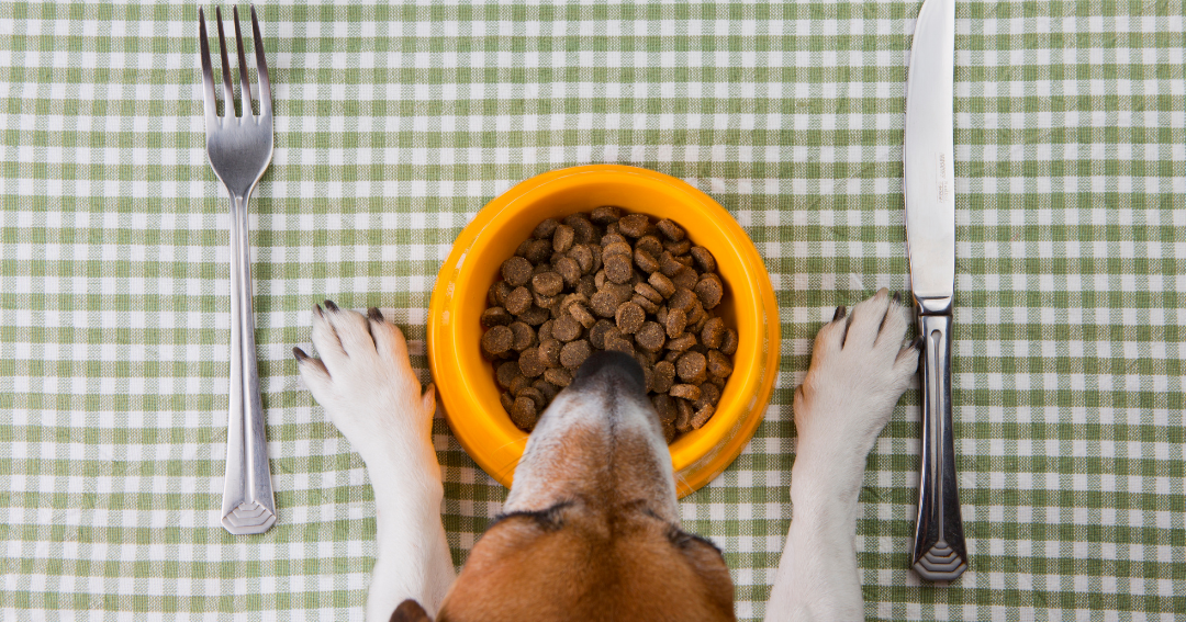 Debunking common pet food myths | News | alexcityoutlook.com – The Alexander City Outlook