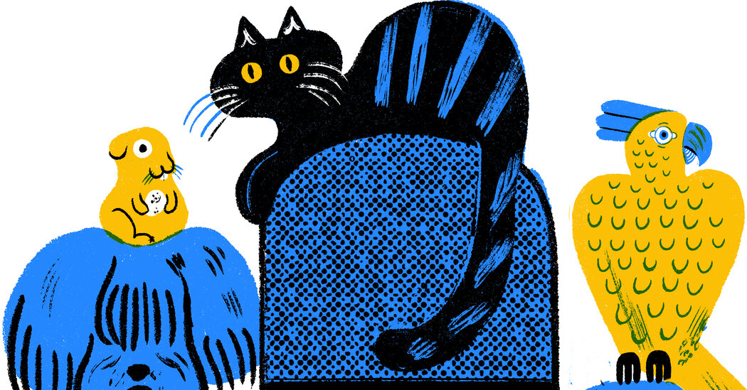 6 Podcasts for Pet Owners – The New York Times