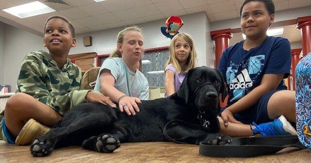 Facility dog helps students with anxiety, mental health at Madison Elementary School – WAAY