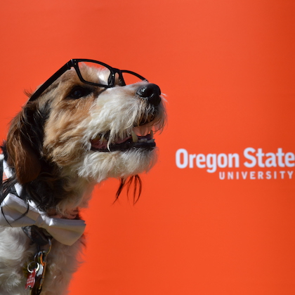 OSU's family-friendly Pet Day event returns May 7 after 2-year pandemic hiatus – Oregon State University