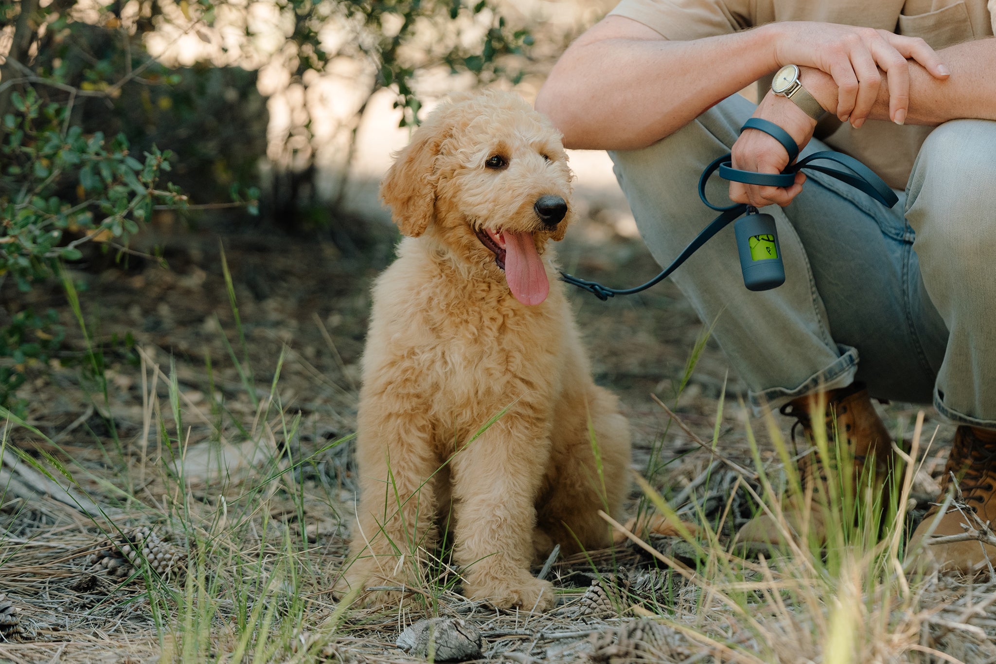 How to Shop for the Best Pet Insurance – The New York Times