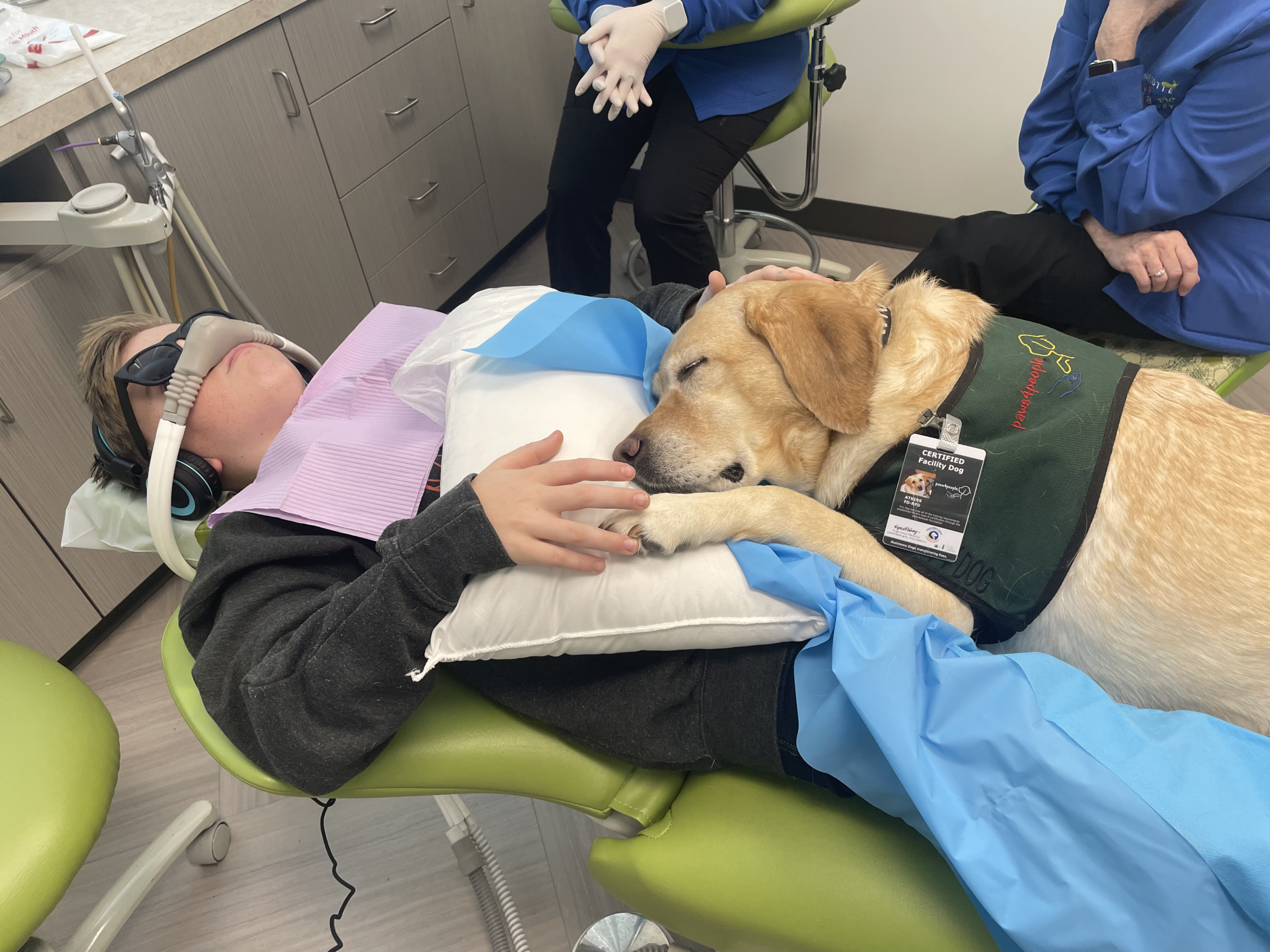 A Dog Day at the Dentist’s: North Carolina Regulates Pups in Dentistry – Kaiser Health News