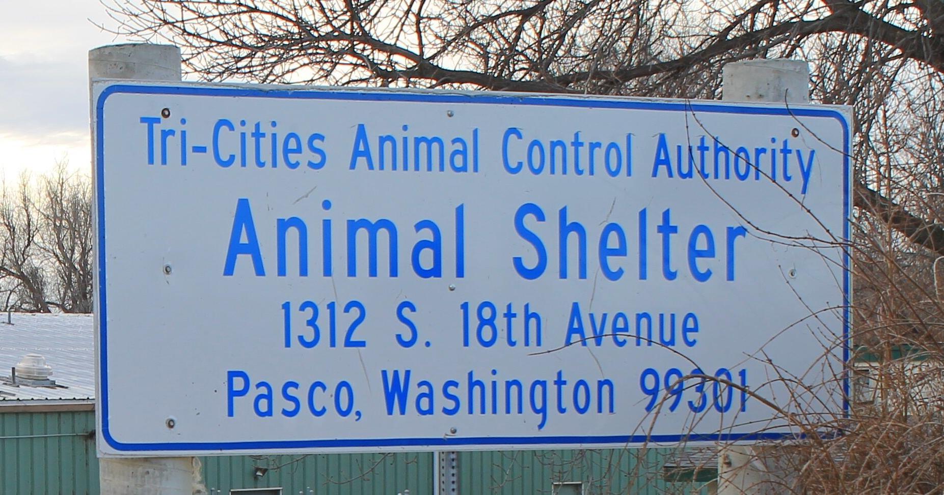 Tri-City Animal Shelter Under Investigation by Pasco Police – NBC Right Now