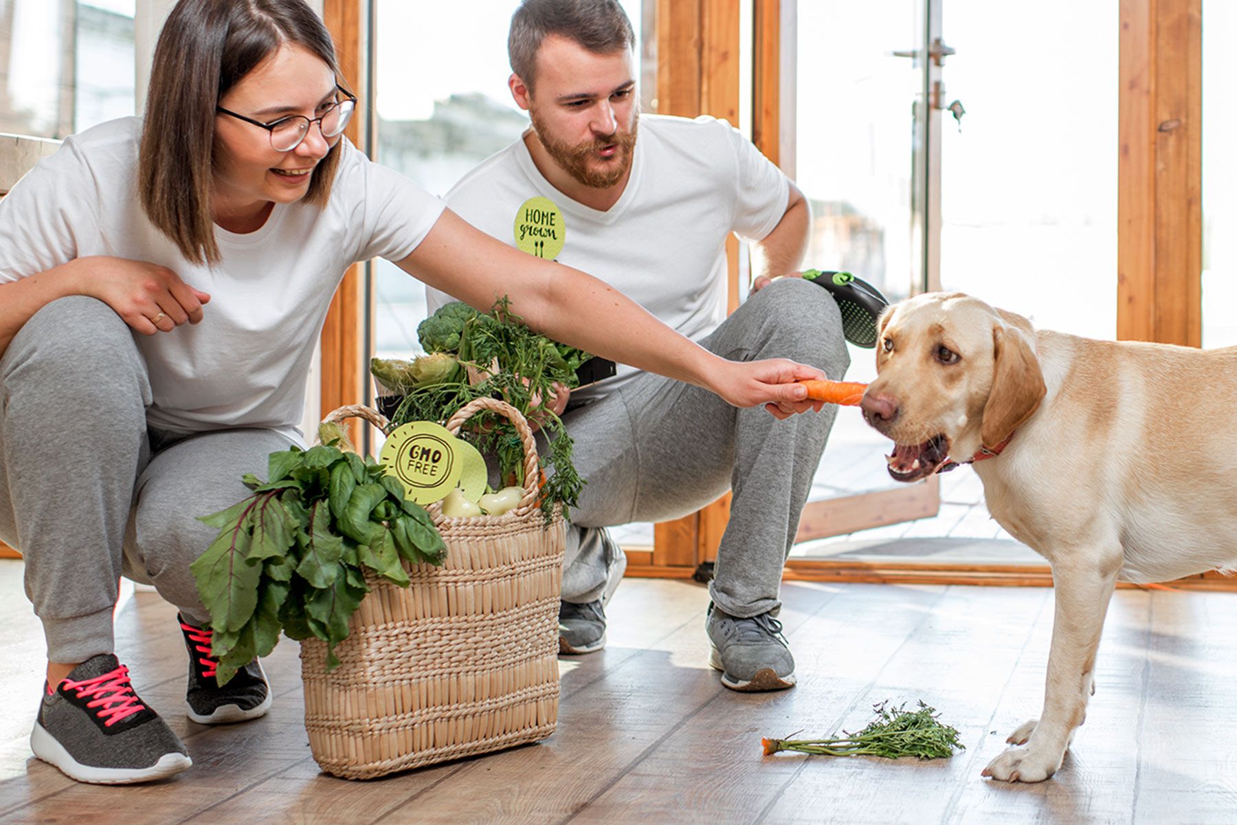 Should Your Dog Go Vegan? – WebMD