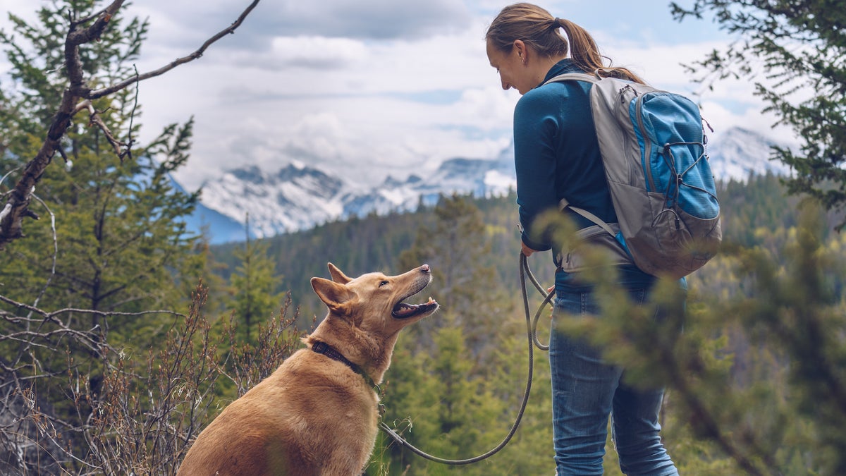 Dog First Aid for Hikers – Backpacker Magazine