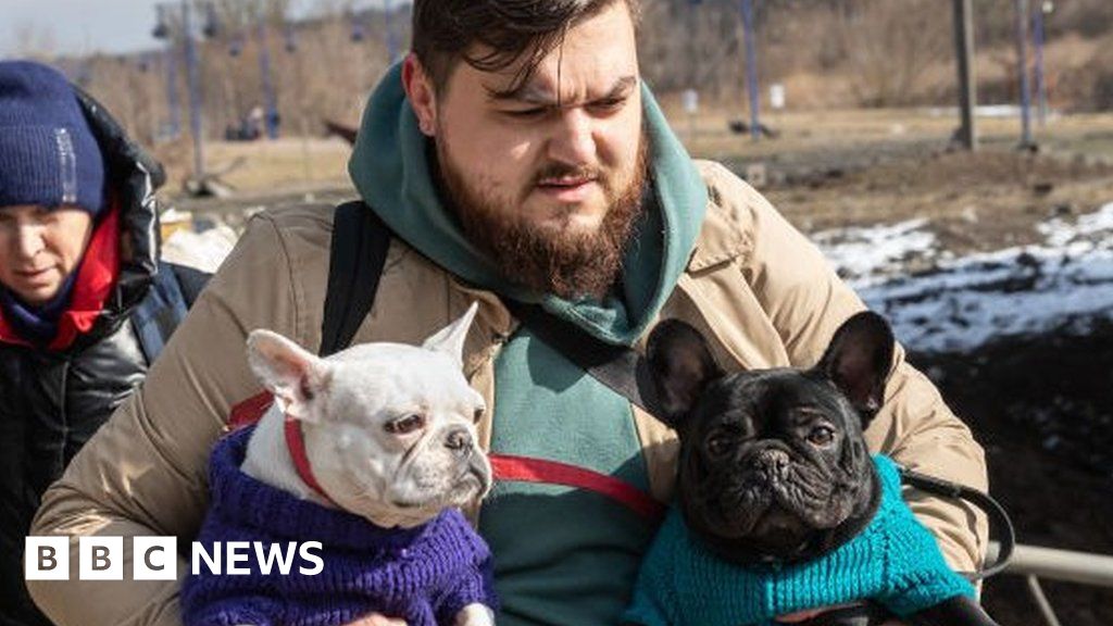 How animals in Ukraine are being rescued during war – BBC