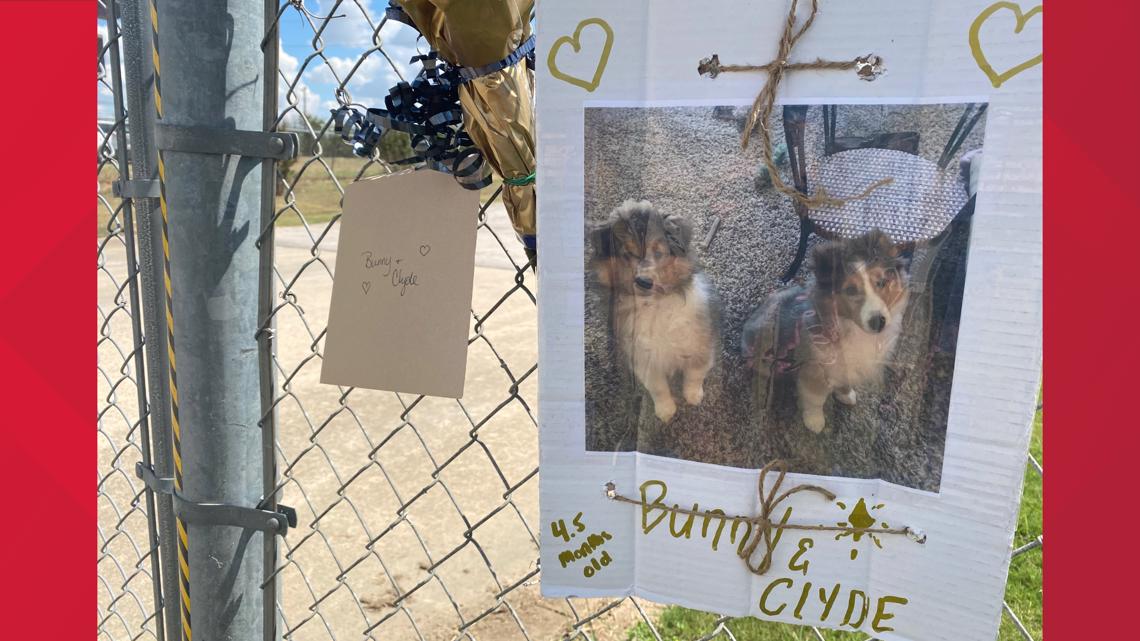 'Extremely heart wrenching' | 75 dogs killed in fire at Ponderosa Pet Resort in Georgetown – KVUE.com