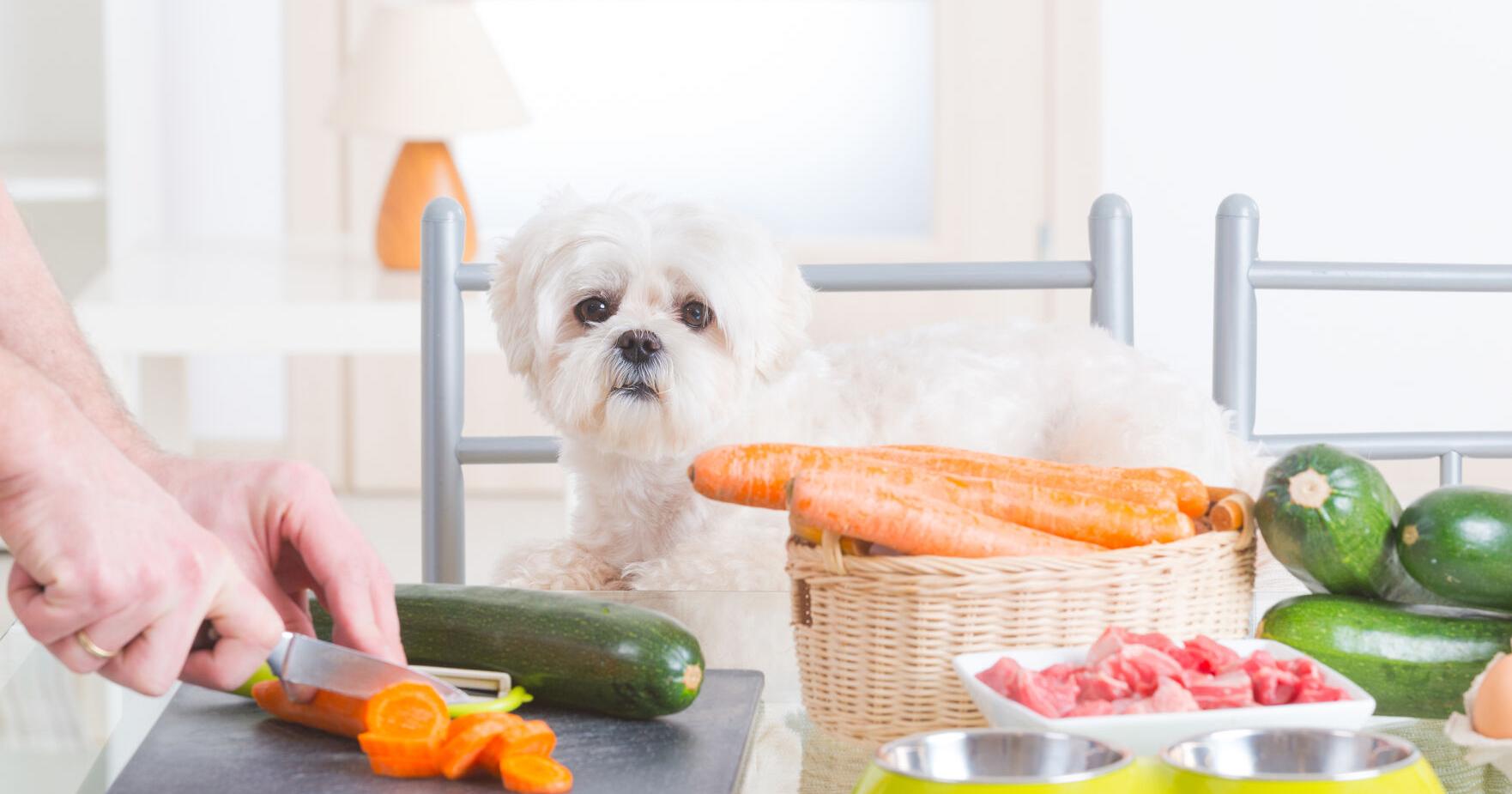 Fresh Pet Food's Rapid Evolution Has Ripple Effect on Pet Food Industry – PetProductNews.com