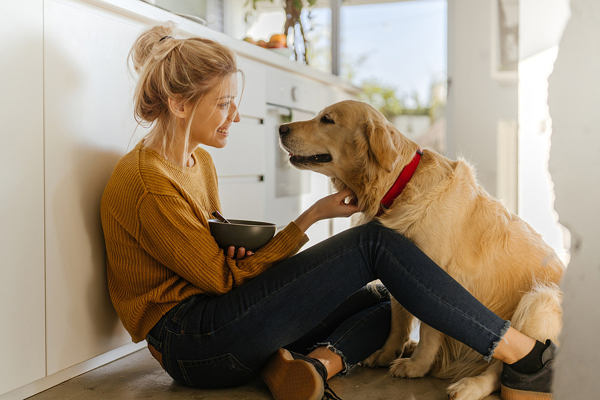 I Fed My Dog Plant-Based Dog Food and Here's What Happened – The Beet