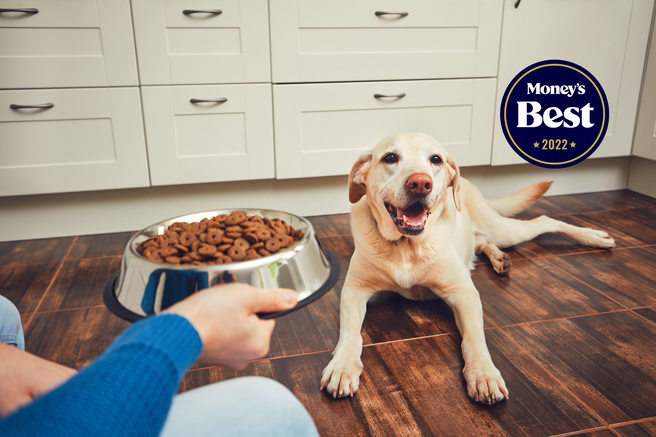 5 Best Dog Foods of 2022 – Money