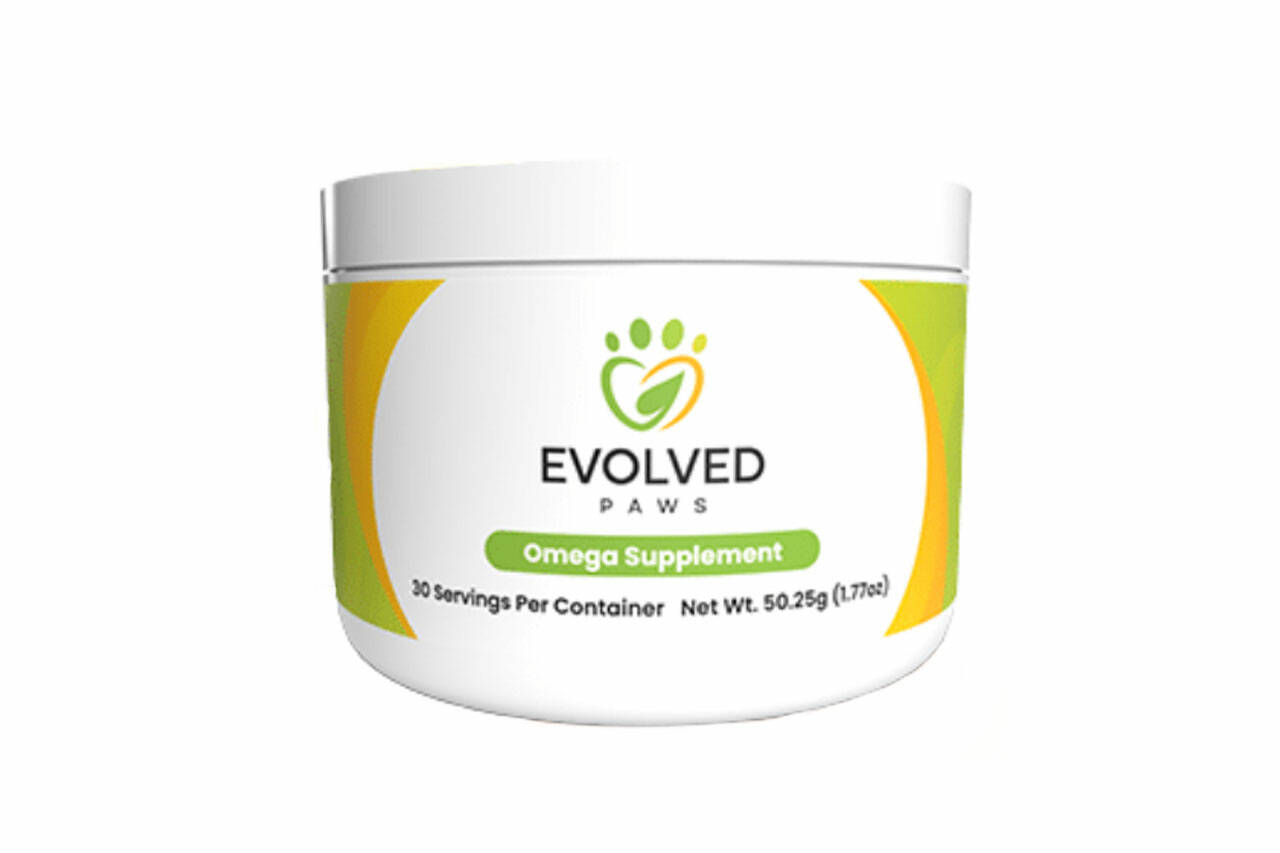 Evolved Paws Supplement for Dogs Reviewed – Ingredients That Work? – Renton Reporter