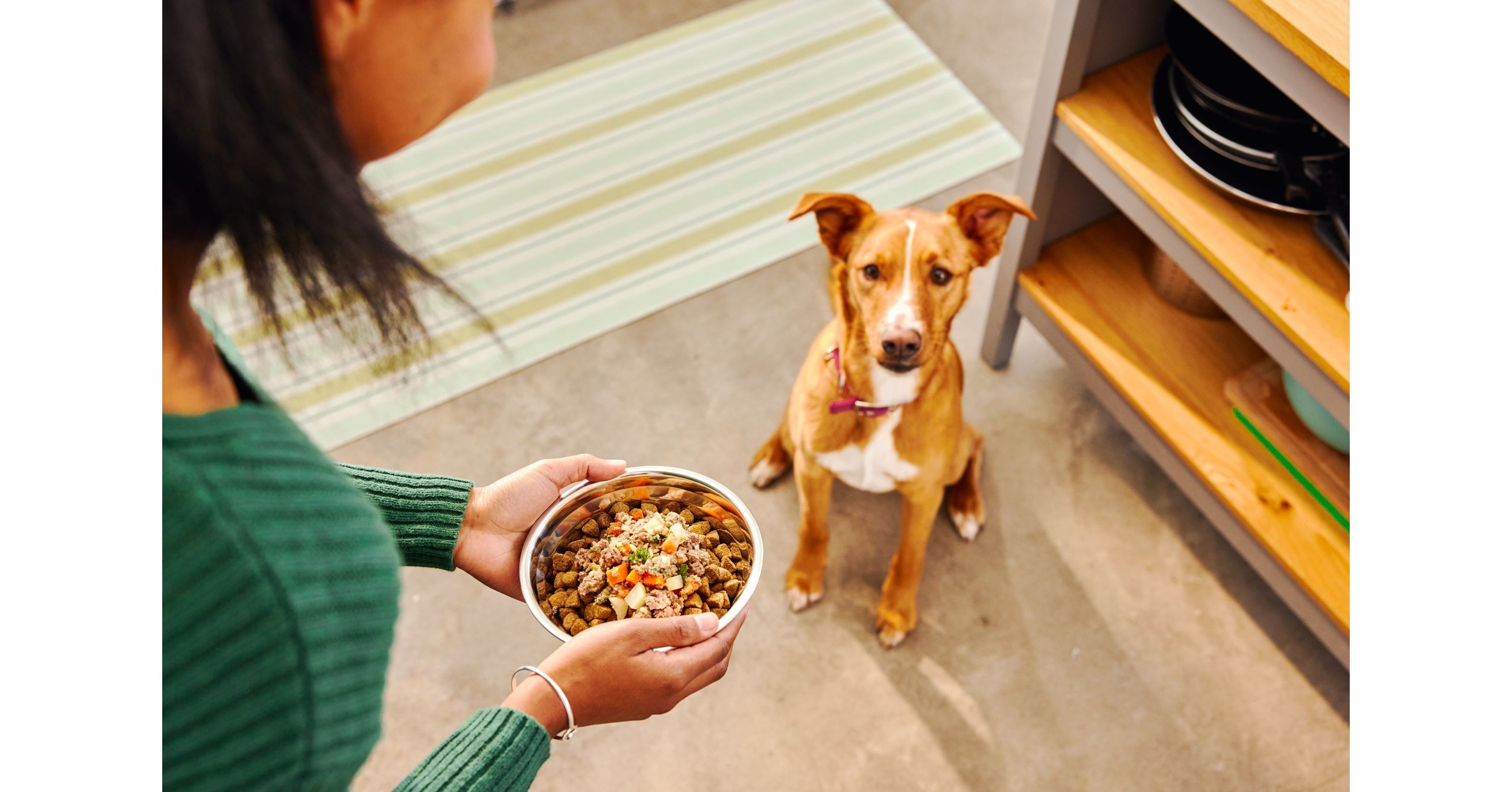 Dogs Get a Boost of Fresh Nutrition: Wellness Pet Company Enters the Fresh Pet Food Segment to Supercharge Dogs' Kibble – PR Newswire