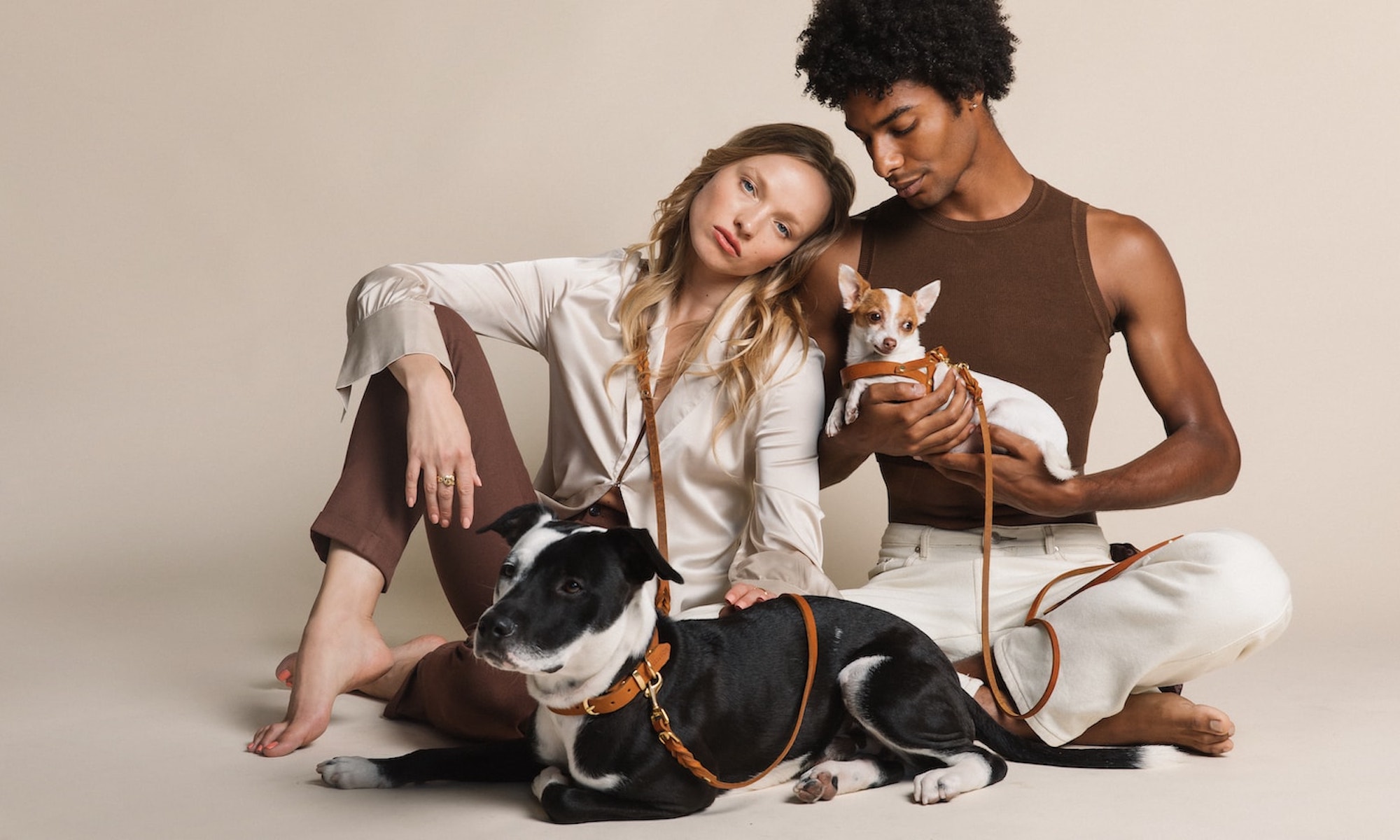 Dress your pup in haute couture with these stylish dog accessories – Gadget Flow