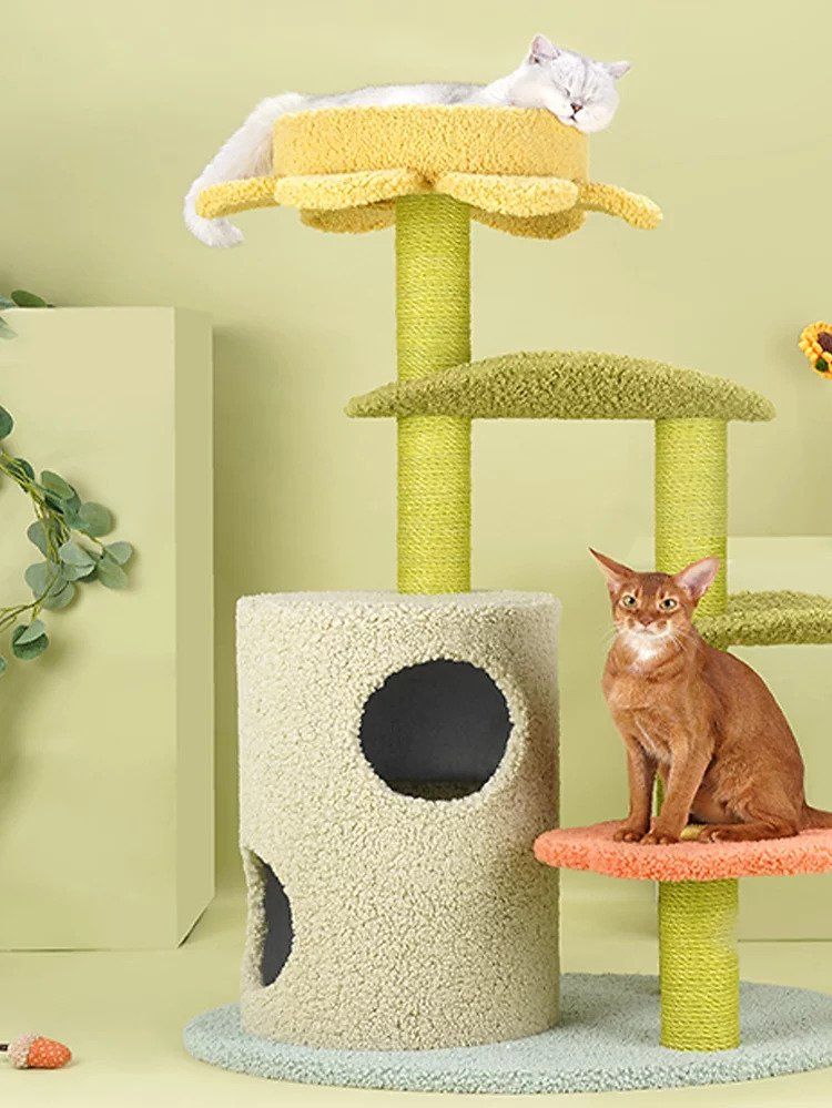 5 pet stores worth visiting in KL and PJ for your furry friends’ needs – Lifestyle Asia Hong Kong