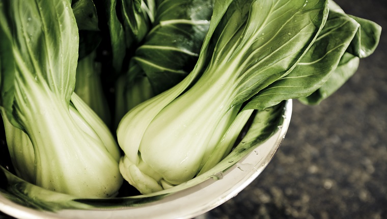 Can Dogs Eat Bok Choy? Is Bok Choy Safe For Dogs? – DogTime