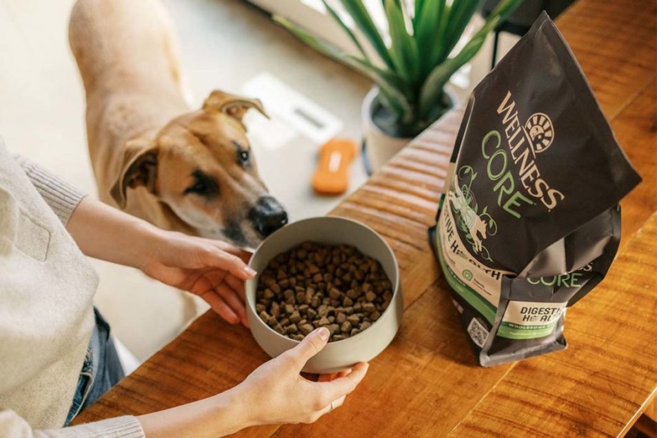 Wellness Pet Company introduces new plant-based dog kibble – MEAT+POULTRY