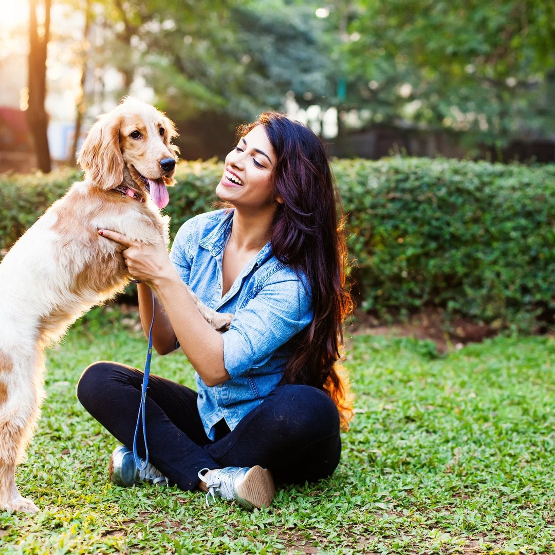 I Might Never Use My Pet Insurance, but I'm Glad I Have It for This Reason – The Motley Fool